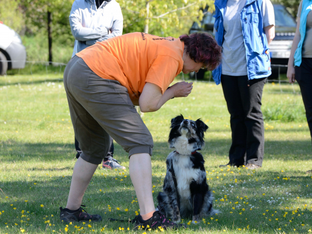 LIND-art® Seminar Dessau-Roßlau 06.05-08.05.2016