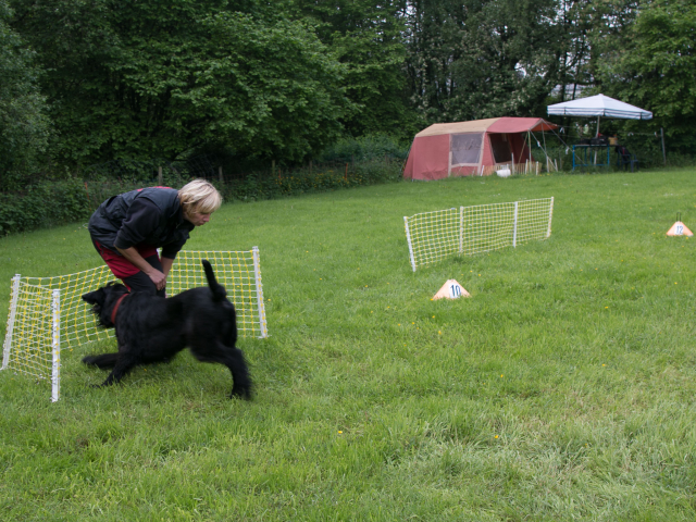 Mensch Hund Harmonie 04.06.2016
