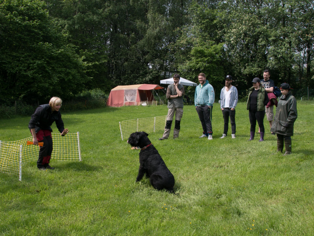 Mensch Hund Harmonie 04.06.2016