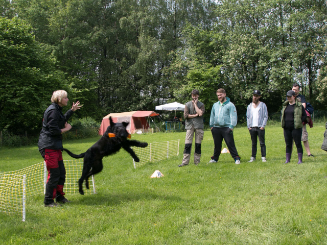 Mensch Hund Harmonie 04.06.2016
