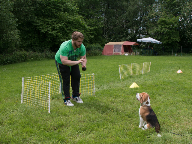 Mensch Hund Harmonie 04.06.2016