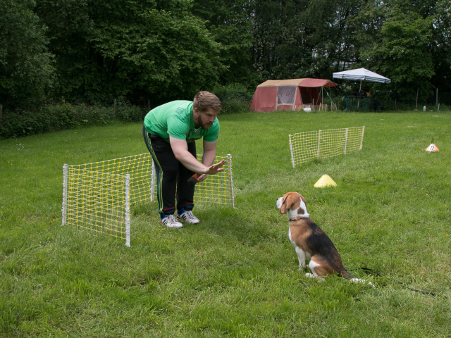 Mensch Hund Harmonie 04.06.2016