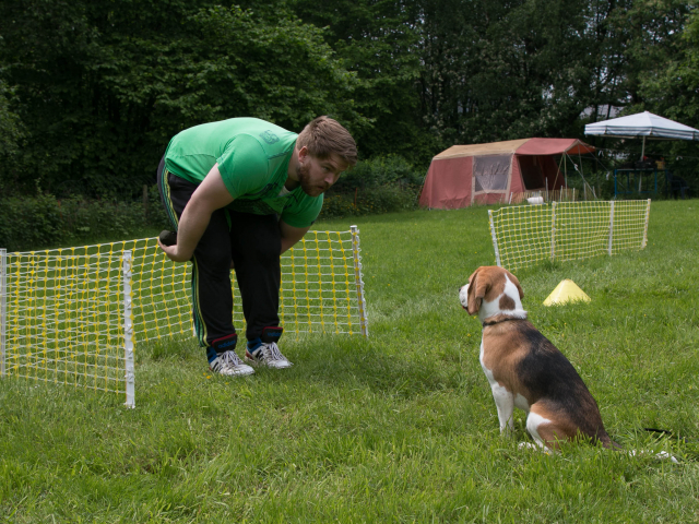 Mensch Hund Harmonie 04.06.2016
