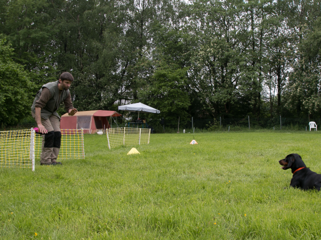 Mensch Hund Harmonie 04.06.2016