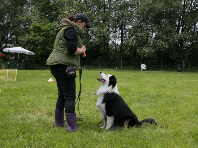 Mensch Hund Harmonie 04.06.2016