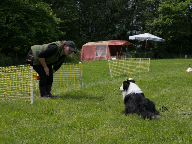 Mensch Hund Harmonie 04.06.2016