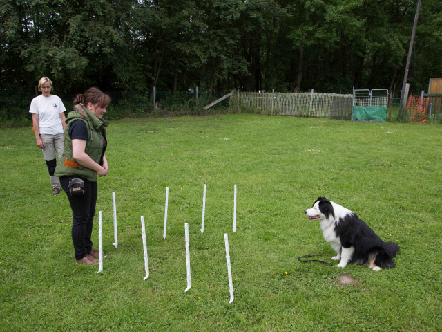 Mensch Hund Harmonie 11.06.2016