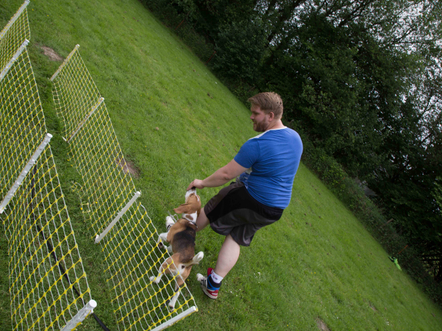 Mensch Hund Harmonie 11.06.2016