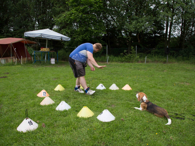 Mensch Hund Harmonie 11.06.2016