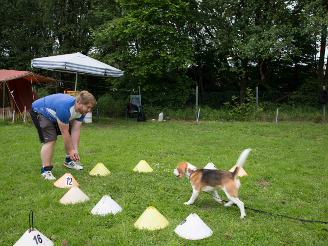 Mensch Hund Harmonie 11.06.2016