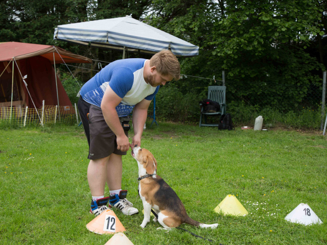 Mensch Hund Harmonie 11.06.2016