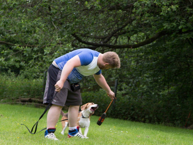 Mensch Hund Harmonie 11.06.2016