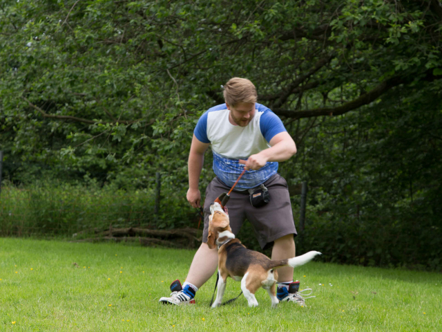 Mensch Hund Harmonie 11.06.2016