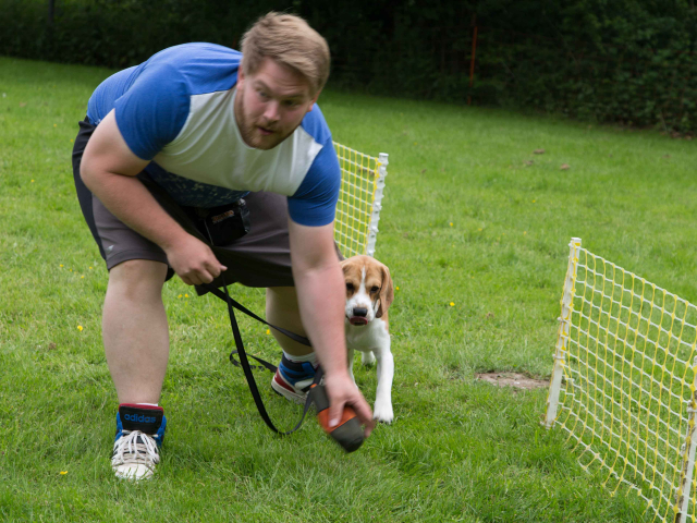 Mensch Hund Harmonie 11.06.2016