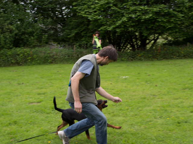 Mensch Hund Harmonie 11.06.2016