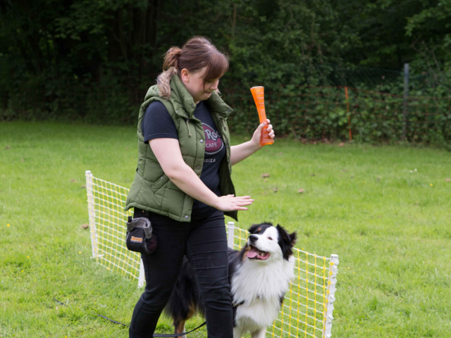 Mensch Hund Harmonie 11.06.2016