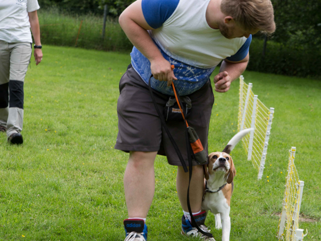 Mensch Hund Harmonie 11.06.2016