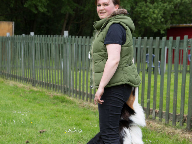 Mensch Hund Harmonie 11.06.2016