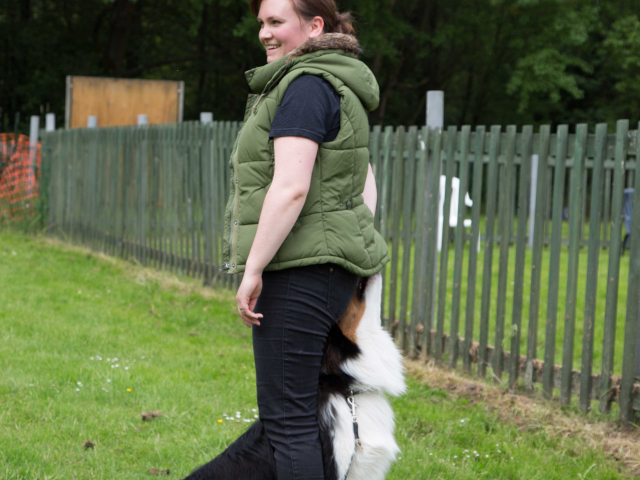 Mensch Hund Harmonie 11.06.2016