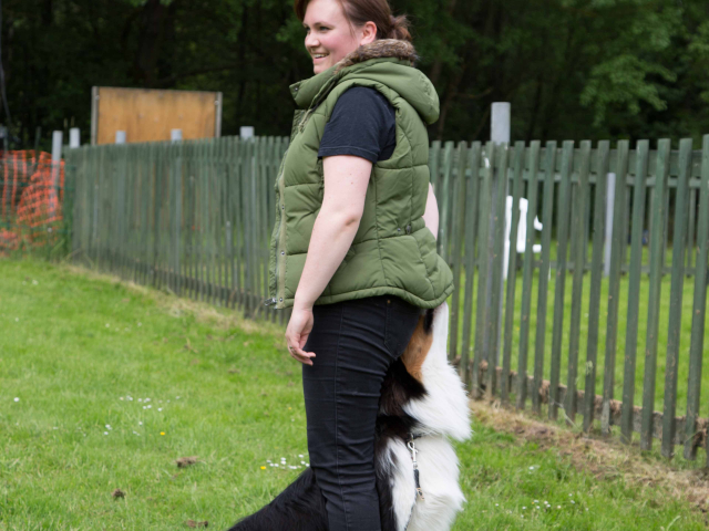 Mensch Hund Harmonie 11.06.2016