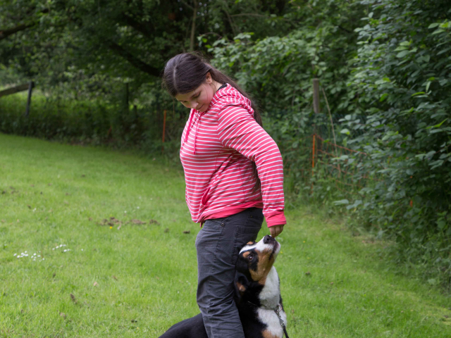 Mensch Hund Harmonie 11.06.2016