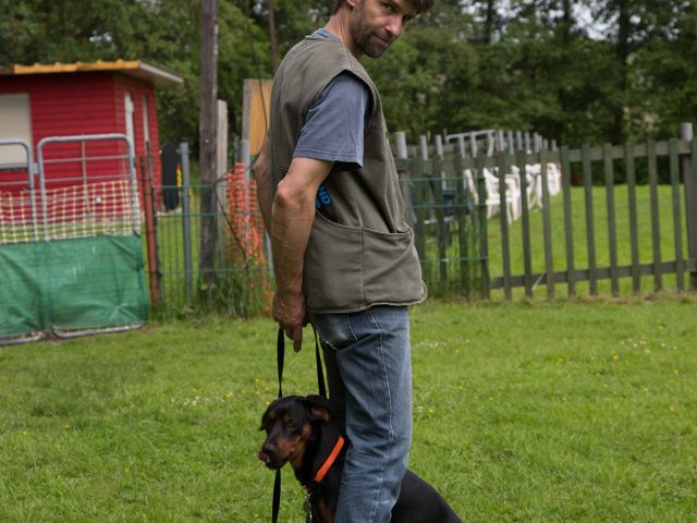 Mensch Hund Harmonie 11.06.2016