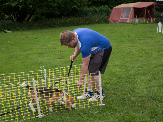 Mensch Hund Harmonie 11.06.2016