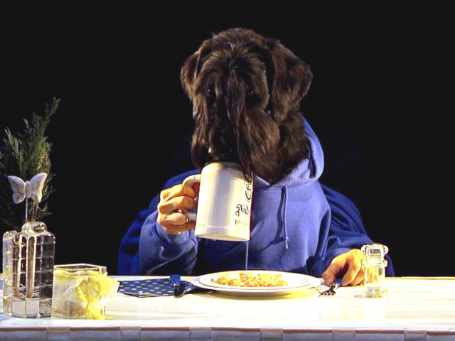 Pfotentheater 2019