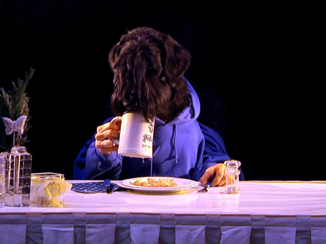 Pfotentheater 2019