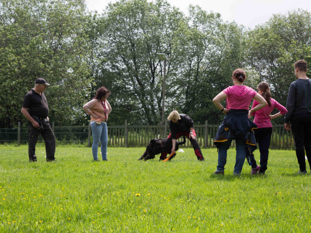 Team Balance Kurs 04.06.2016