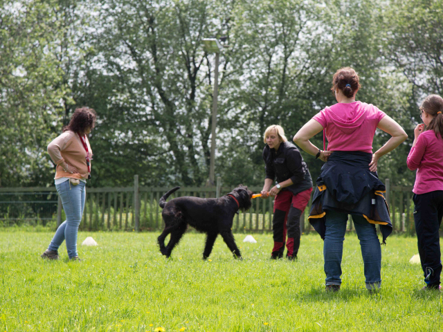Team Balance Kurs 04.06.2016