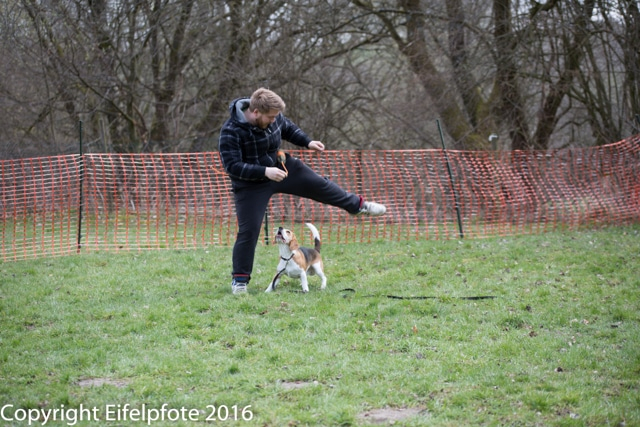Team Balance Kurs 09.04.2016