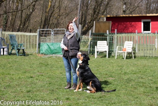 Team Balance Kurs 09.04.2016