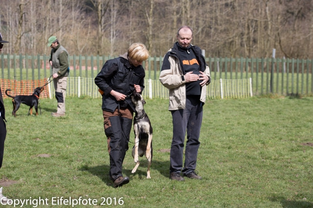 Team Balance Kurs 09.04.2016