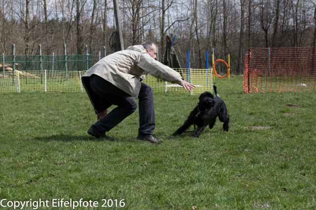 Team Balance Kurs 09.04.2016