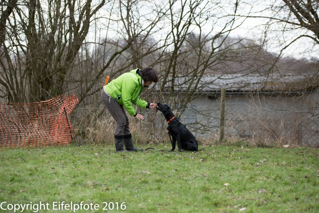 Team Balance Kurs 09.04.2016