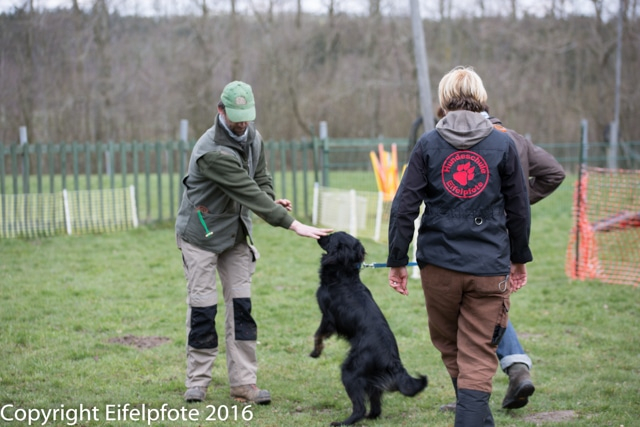 Team Balance Kurs 09.04.2016