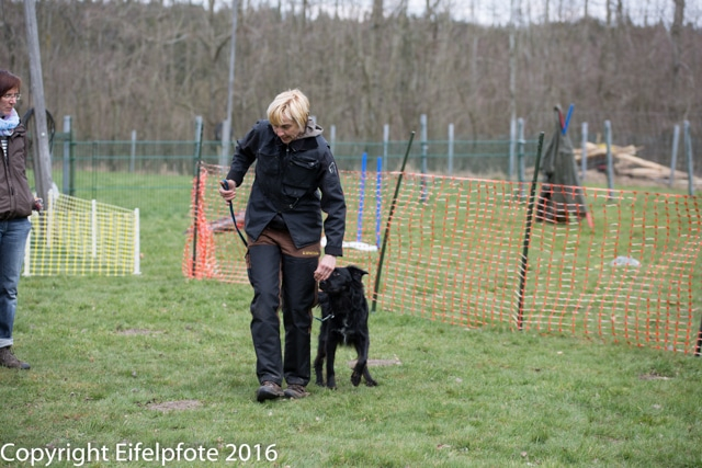 Team Balance Kurs 09.04.2016