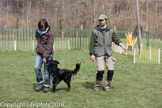 Team Balance Kurs 09.04.2016
