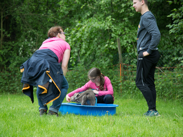 Welpenstunde 04.06.2016