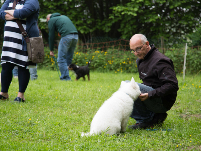 Welpenstunde 04.06.2016