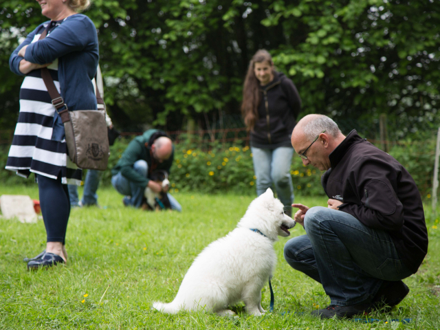Welpenstunde 04.06.2016