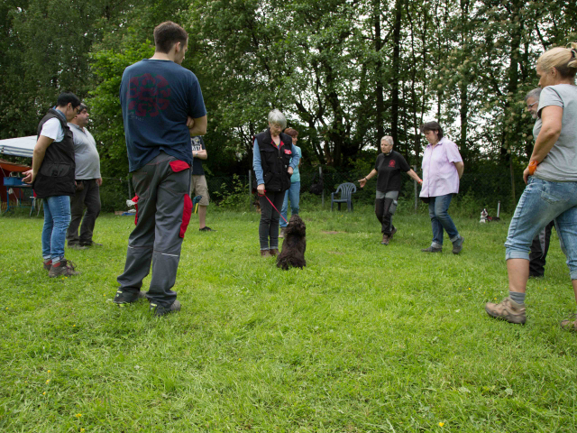 Welpenstunde 04.06.2016