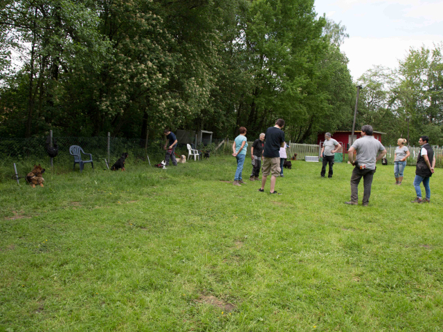 Welpenstunde 04.06.2016