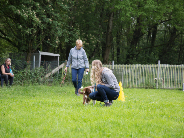 Welpenstunde 04.06.2016