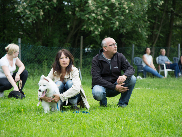 Welpenstunde 04.06.2016