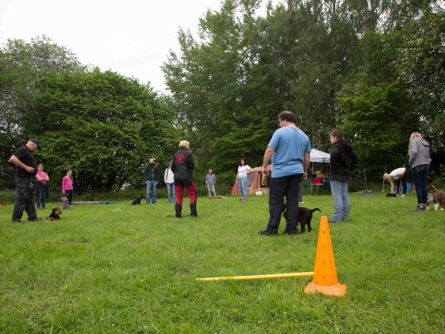 Welpenstunde 04.06.2016