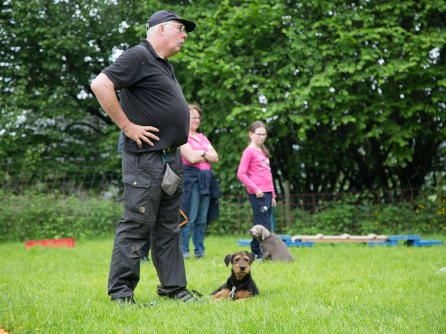 Welpenstunde 04.06.2016
