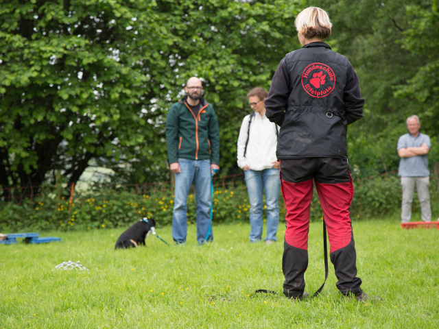Welpenstunde 04.06.2016