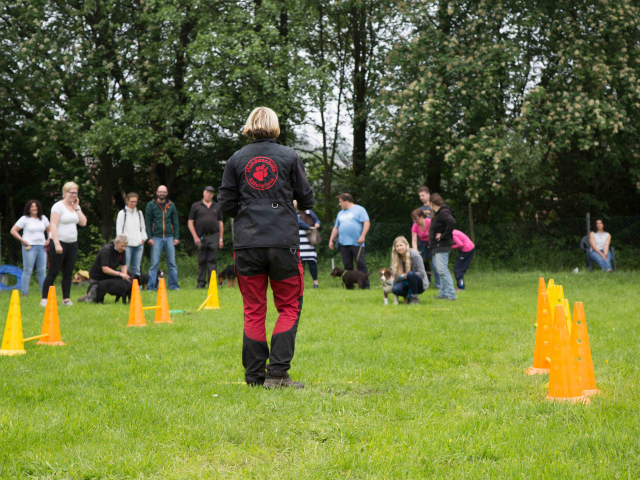 Welpenstunde 04.06.2016